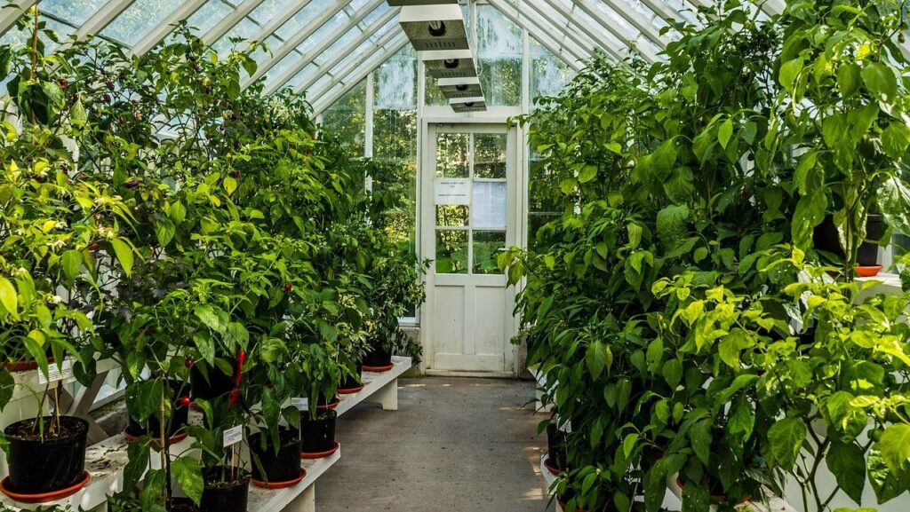 Best Heater For Small Greenhouse