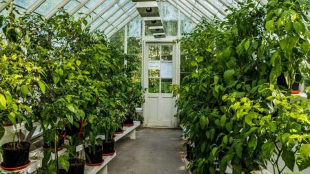 Top 5 Best Heater For Small Greenhouse
