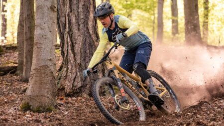 Top 7 Best Entry Level Mountain Bike – Top Choices